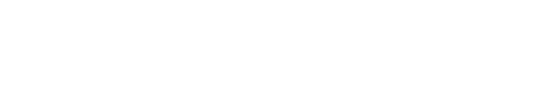 the-standard